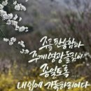 에벤에셀 - 논산시 해월로167번길 12 | 에벤에셀