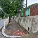 강림면사무소 이미지