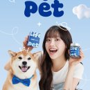 케어앤라이프 이미지