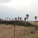 폭포수목장 이미지