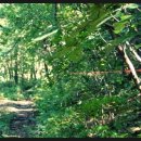 새로이펜션민박 이미지