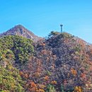 장태산자연휴양림 이미지