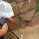 한솥도시락 서창2지구점 이미지