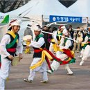 배시내석쇠한마당 | [사진] 해바라기와 코스모스, 누가 주연일까