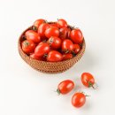 토마토연구소 이미지