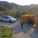 김삿갓사과농원 이미지