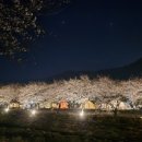 화왕산오토캠프장