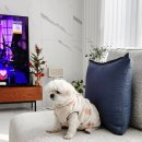 동탄산단5길 이미지