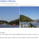 벧엘농장 이미지