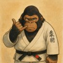 용인대 합기도 주짓수 이미지