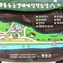백룡동굴 이미지