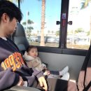 미소렌트카 이미지