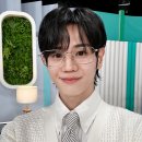 살림하는남자