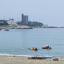 양포항 Daum카페
