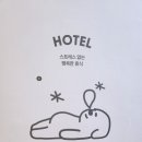 하울팟 케어클럽(분당서현점) 이미지