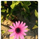 어울림장애인주간보호센터 이미지