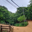 장동 산디마을입구 주차장 | 계족산 장동산림욕장 황톳길을 다녀오다.