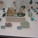 덕소자연사박물관 이미지