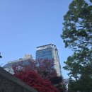 그릴종고산 이미지
