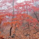 용덕사-육모정고개-우이능선-영봉-하루재-백운산장-위문-용암문-동장대-대동문-구천폭포-아카데미하우스