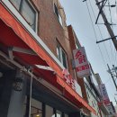 마당 나온 수탉 이미지