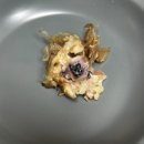 세븐일레븐 광주운암나산점 | 광주 운암동 맛집 수제타코야끼 타코로와 운암점