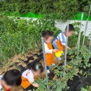 옥정숲속어린이집 | [옥정동 어린이집] 맑은 공기와 자연 속에서 쑥쑥 자라는 우리 아이! 옥정숲속 어린이집 ^^