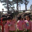 시우어린이집 네이버블로그