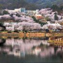 경충대로 2709번길 4 이미지