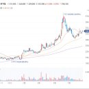 이유엠모터스 Daum카페