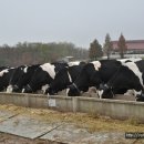 가사목장 이미지