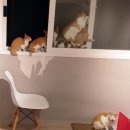 숨숨집 이미지