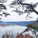 대임상사 Daum카페