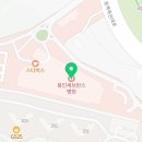 세브란스 동물병원 | 용인세브란스 제왕절개 하반신마취 실패 후 전신마취 후기(D-day) #1