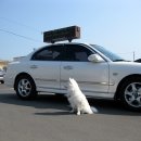 슬도주차장 이미지