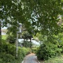 둔전체육공원 이미지