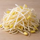 우리콩협동조합 | 강원도 콩나물공장, 왜 주에코컴퍼니 업소용 음식물처리기를 선택했을까? 설치 후기 공개