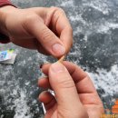 금봉저수지 이미지