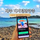 나우호텔 | 나우다 제주 디지털관광증 사용방법 할인혜택 이용후기