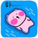 포토시그니처평택
