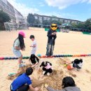 용일초등학교 | 25-2 인하멘토링 후기