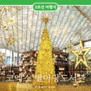 인터필드 | 서울 스타필드 코엑스 별마당도서관 위치 크리스마스 트리 명소 주말 방문 후기