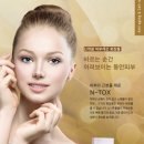 엔투
