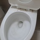 샬롬청소 이미지