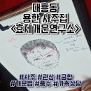방배중앙로 138 (세븐일레븐 앞) | 대흥동 관상 용한 사주집 효제개운연구소 기본 상담 개운법 후기