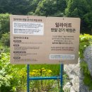 엄마와 단둘이 첫 여행 [깊은산속 옹달샘 1편]