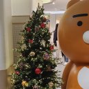 남포동 망그러진 곰 마성의 팍스 잔망 루피 몰티즈 팝업 방문 남포동 소품샵 유행 통신 방문 후기