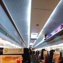 꼬꼬피치 이미지