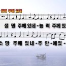 생명주께있네.ppt 이미지