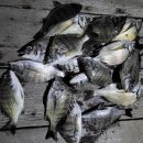 여수가족생활낚시터 이미지